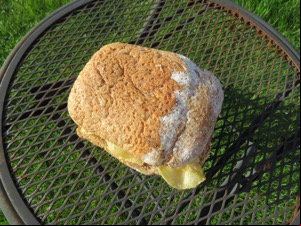Brown crust crisp sandwich on a garden chair