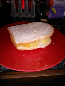 Flash photo of white crisp sandwich