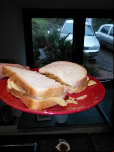 Halved crisp sandwich being shown to cars