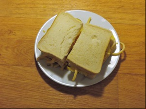 Overhead view of French Fries snacks in white bread