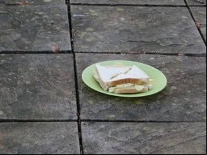 White crisp sandwich on a plate on paving slabs